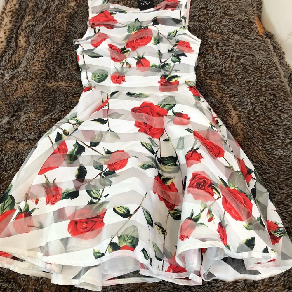 Gorgeous AX Paris skater dress